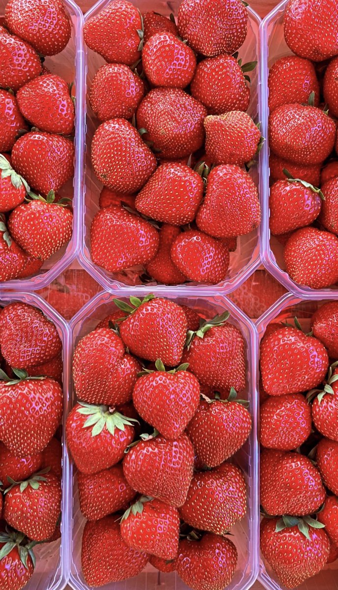 iCosmosQueen's tweet image. gm 

got impulsive and bought so many strawberries 🍓