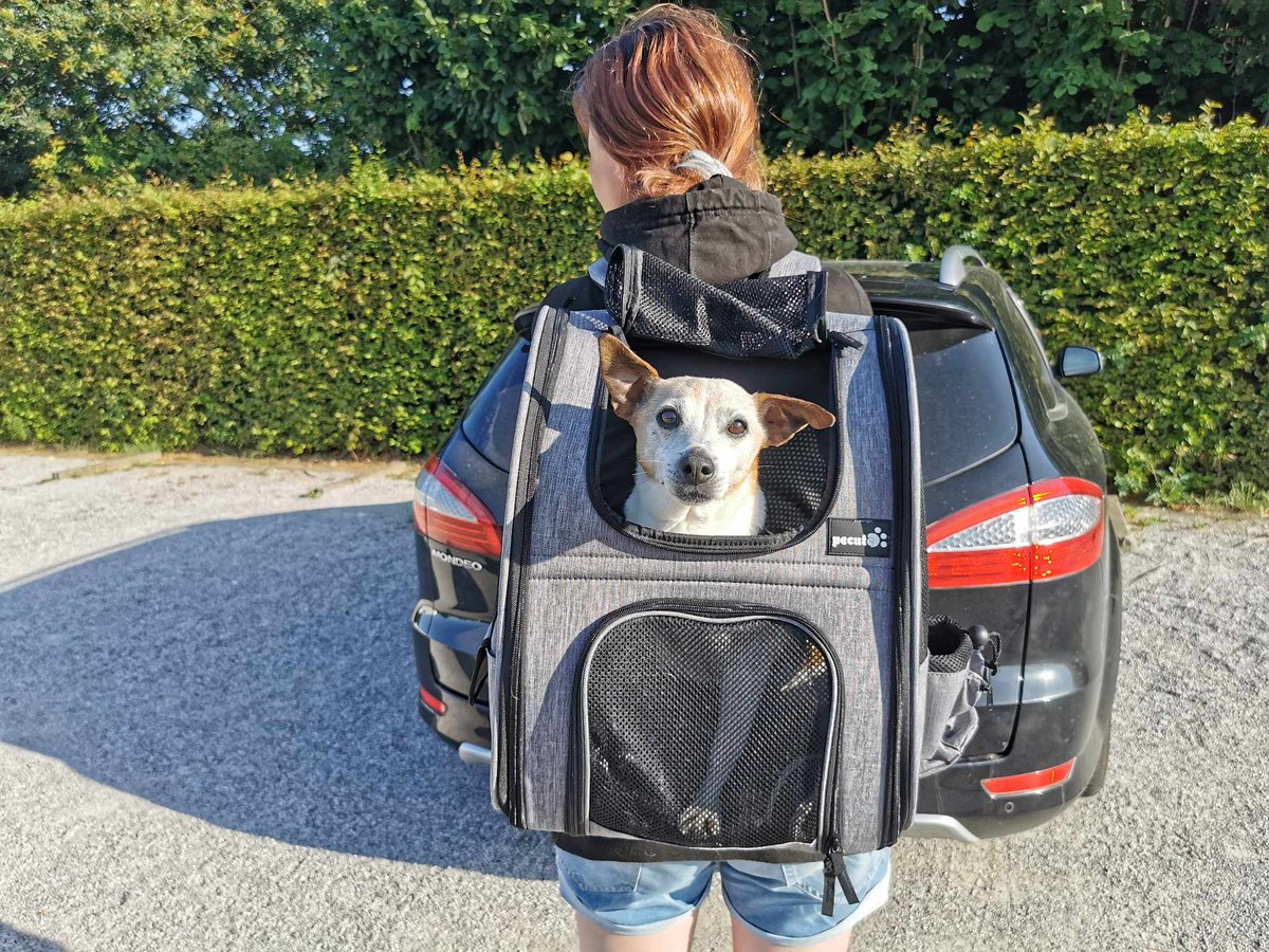 DawnMonksMilitaryArt tweet media