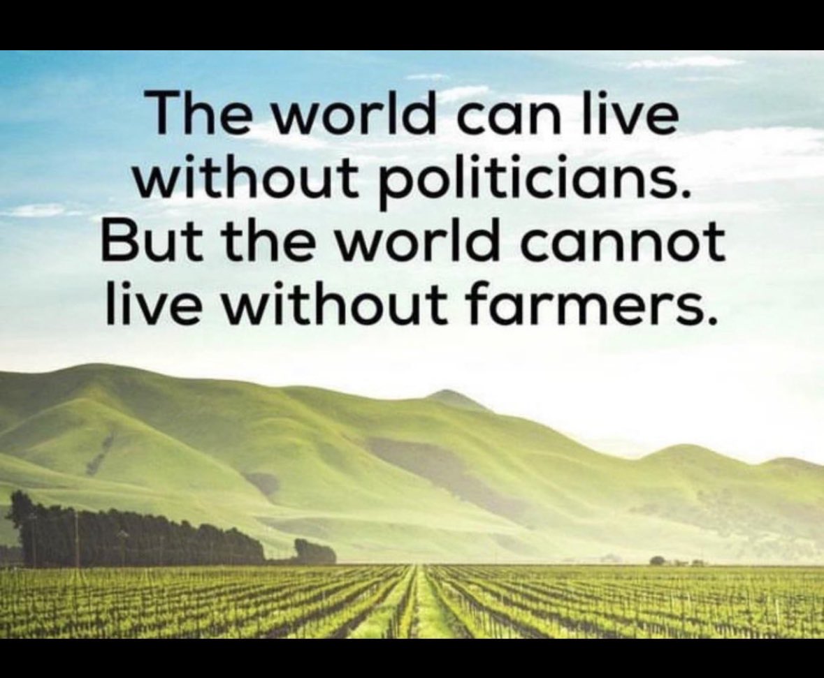 NewsOnChain. Support Farmers 🇳🇱 tweet media