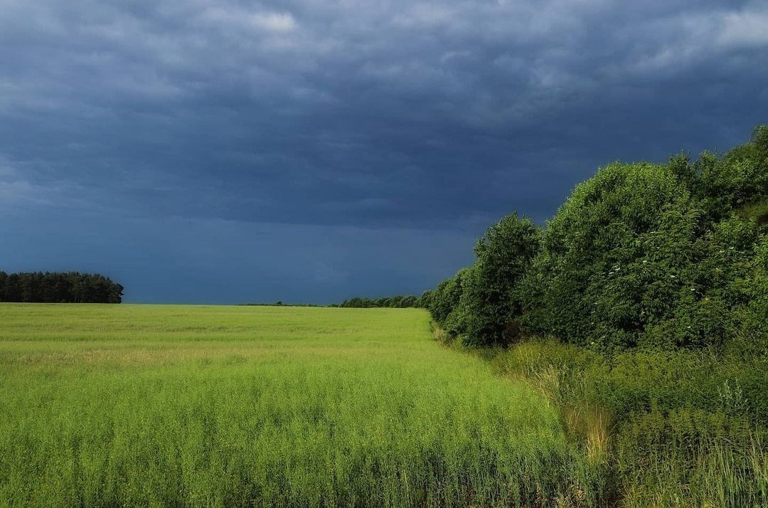 BitesOfTime's tweet image. #Czerwiec