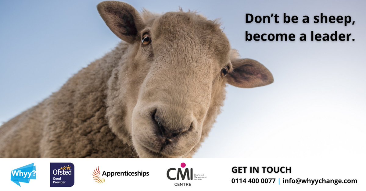 whyychange's tweet photo. 🐑 Are you fed up with following the flock?

Learn how to develop your knowledge #skills and behaviours to lead teams, manage people and build relationships with a @cmi_managers Level 3 Team Leader #Apprenticeship.

Don’t be a sheep, become a leader⬇️

🔗 https://t.co/ZOitFEKoxN https://t.co/B0xBgZhLLQ