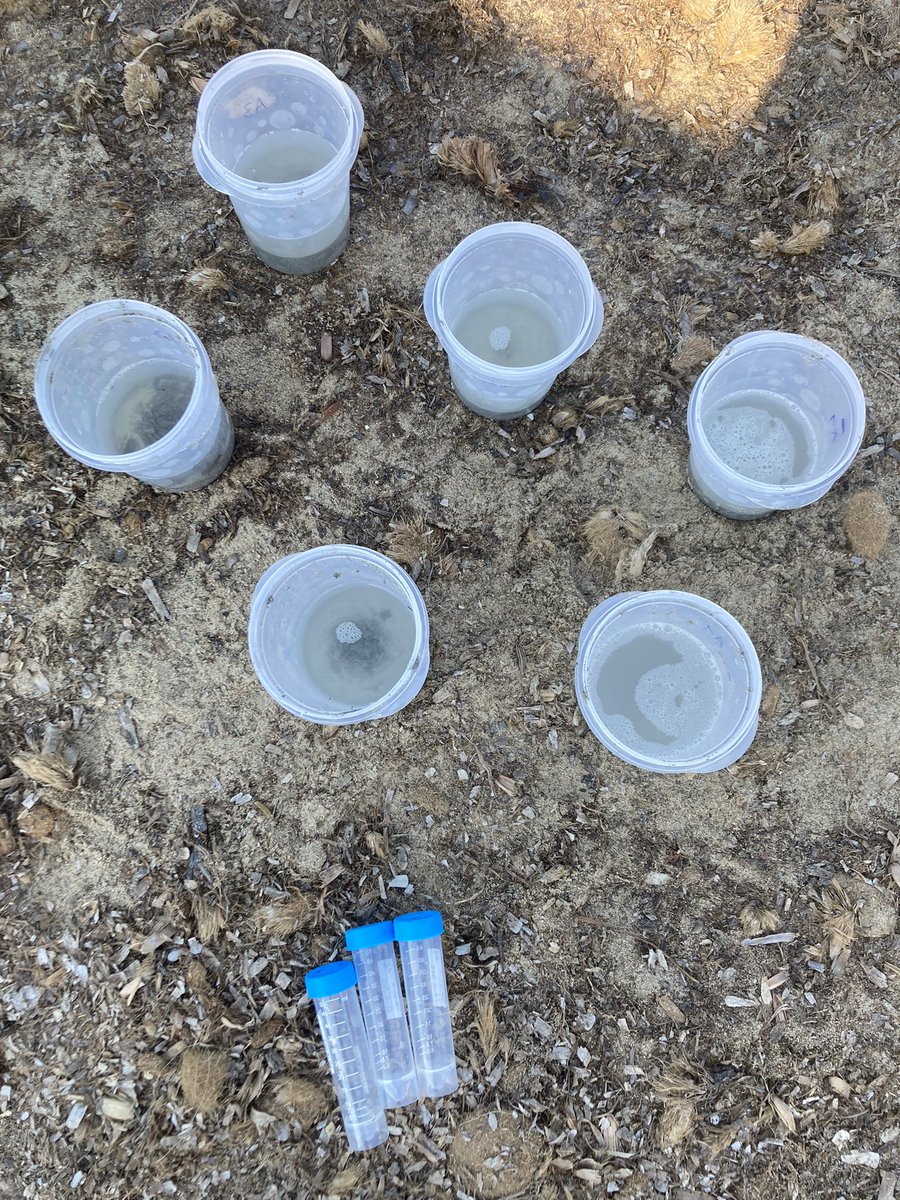 BlueRevolutionProject tweet media