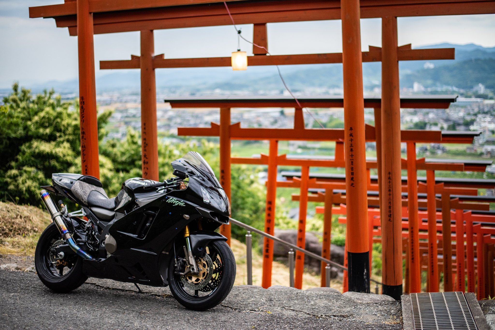 確認( ˶ˆ꒳ˆ˵ )画像5枚♡オーダー受け付け Amazon | MAXIMASELECT エンブレム 3点セット ホンダ対応 ライブ