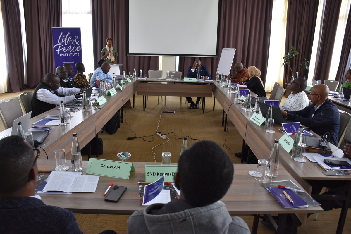 Life&Peace Institute tweet media