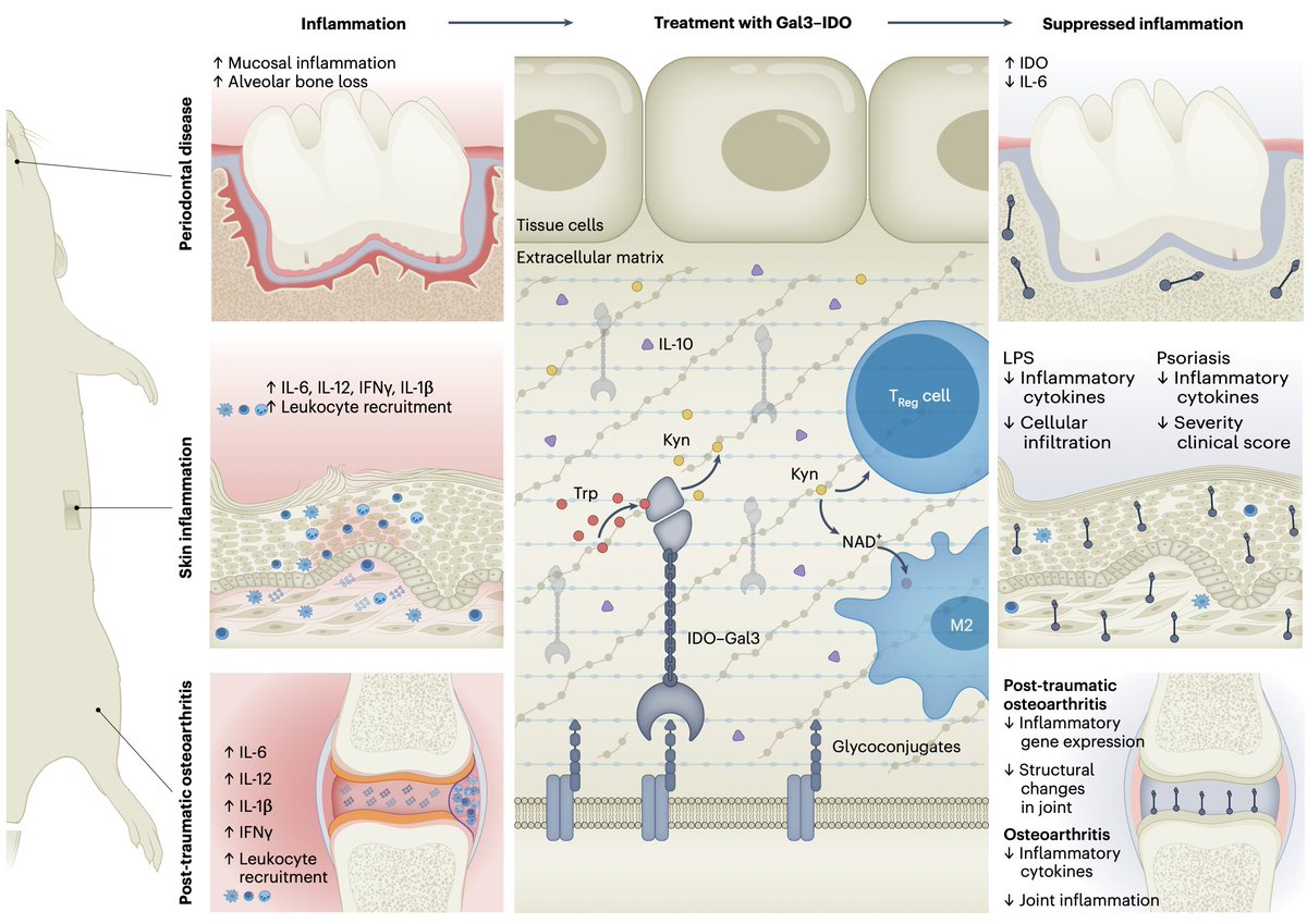 Nature Biomedical Engineering tweet media