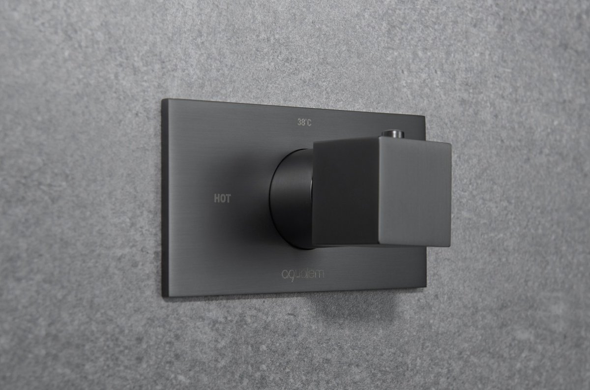 Aqualem_'s tweet photo. Gun metal finishing is now more and more popular. It gives not only the simple and clean outlook, also somehow reflects the owner's wisdom and calmness. It hamoniously combines the sense of technology and modernity.
https://t.co/sZE4hQbLtT
https://t.co/DI7KtIvn6x
#aqualem #mixers https://t.co/uu1ZN61Y9c