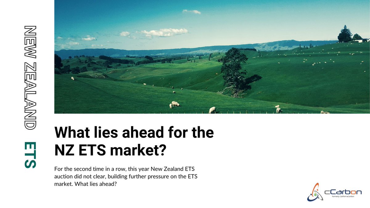 cacarboninfo's tweet photo. For the first time in #NewZealand ETS’ history, auctions have failed consecutively. What lies ahead for the NZ ETS? Read on to know more: https://t.co/L2YN8XqPUV https://t.co/7lhrq4SrmW