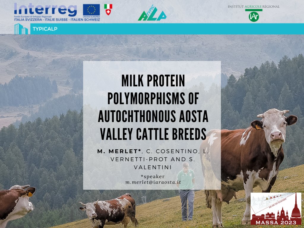 IAR_TYPICALP's tweet photo. #massa23 🧬 @Typicalp presenta gli studi effettuati sul latte delle bovine di razza autoctona valdostana e sui marcatori di qualità della #fontinadop 🐄🥛
👨🔬👩🔬Speakers🎙: Sabina Valentini, responsabile del progetto e Mathieu Merlet, ricercatore del team #Typicalp https://t.co/Yfma2cmZDS
