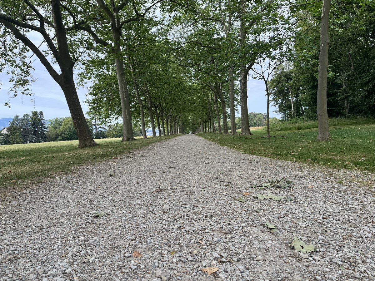 MumbaMusondam's tweet photo. Loved this line of trees in our small local park - morning Run ππΎππ½ππΎββοΈ #MovementIsEverything #TuesdayVibe https://t.co/KvnuvRJLI4