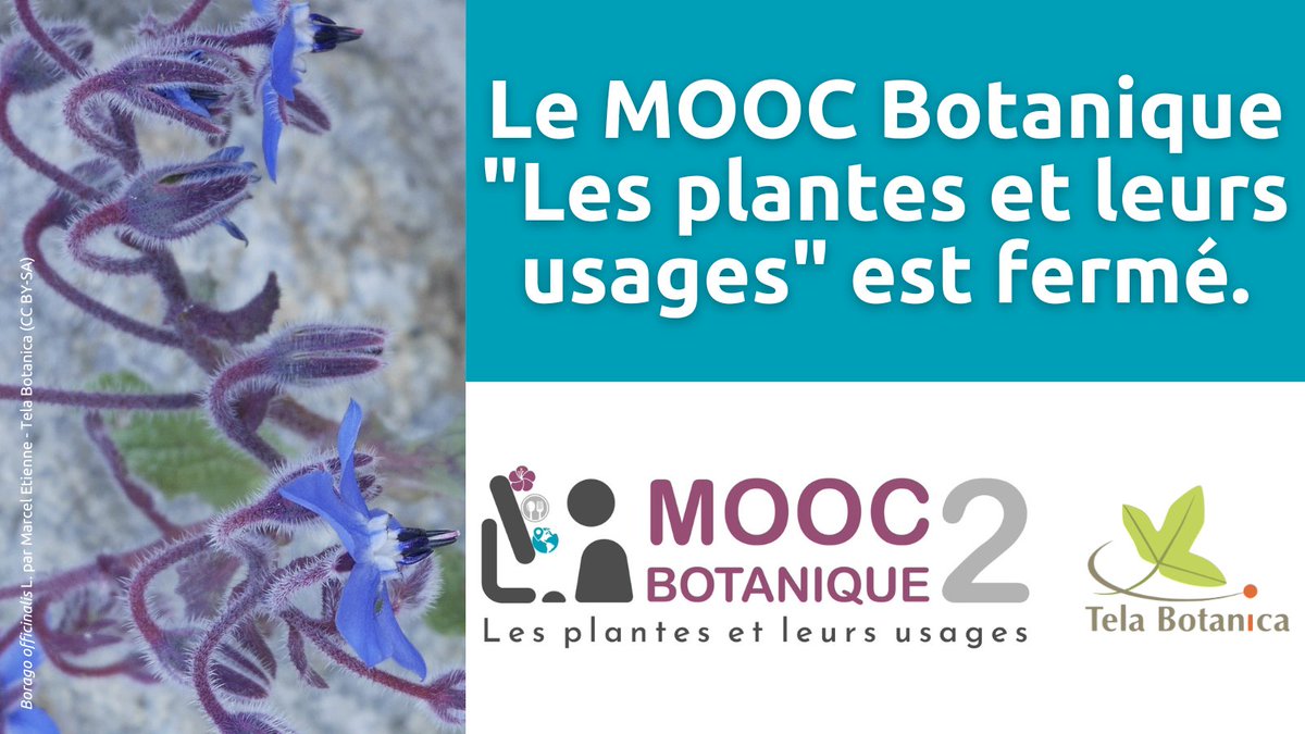 MOOC TelaFormation tweet media