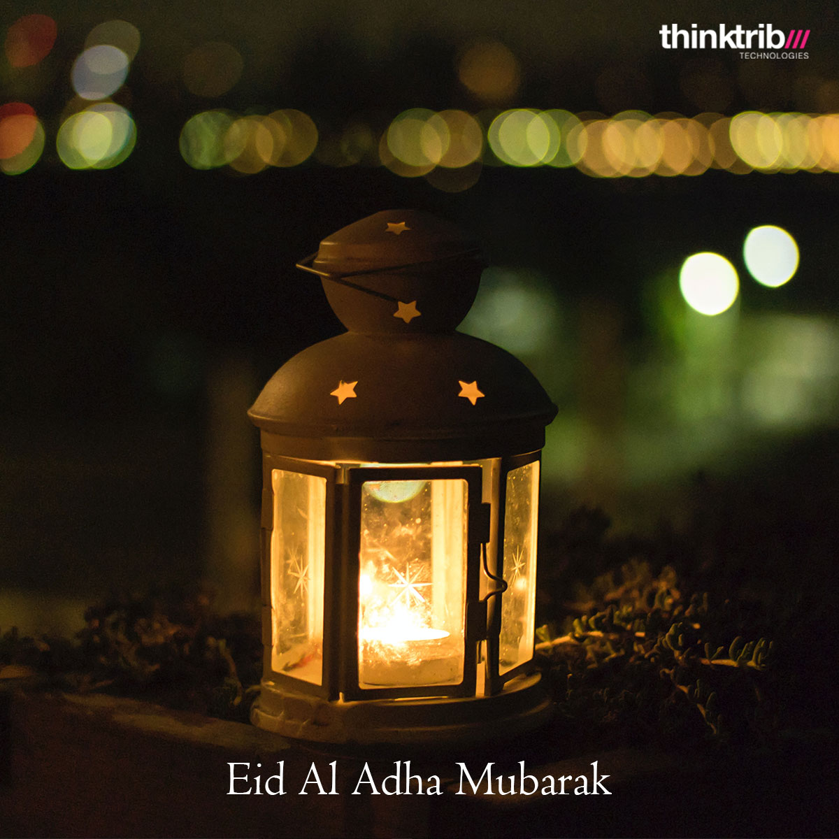 Think Tribe tweet media