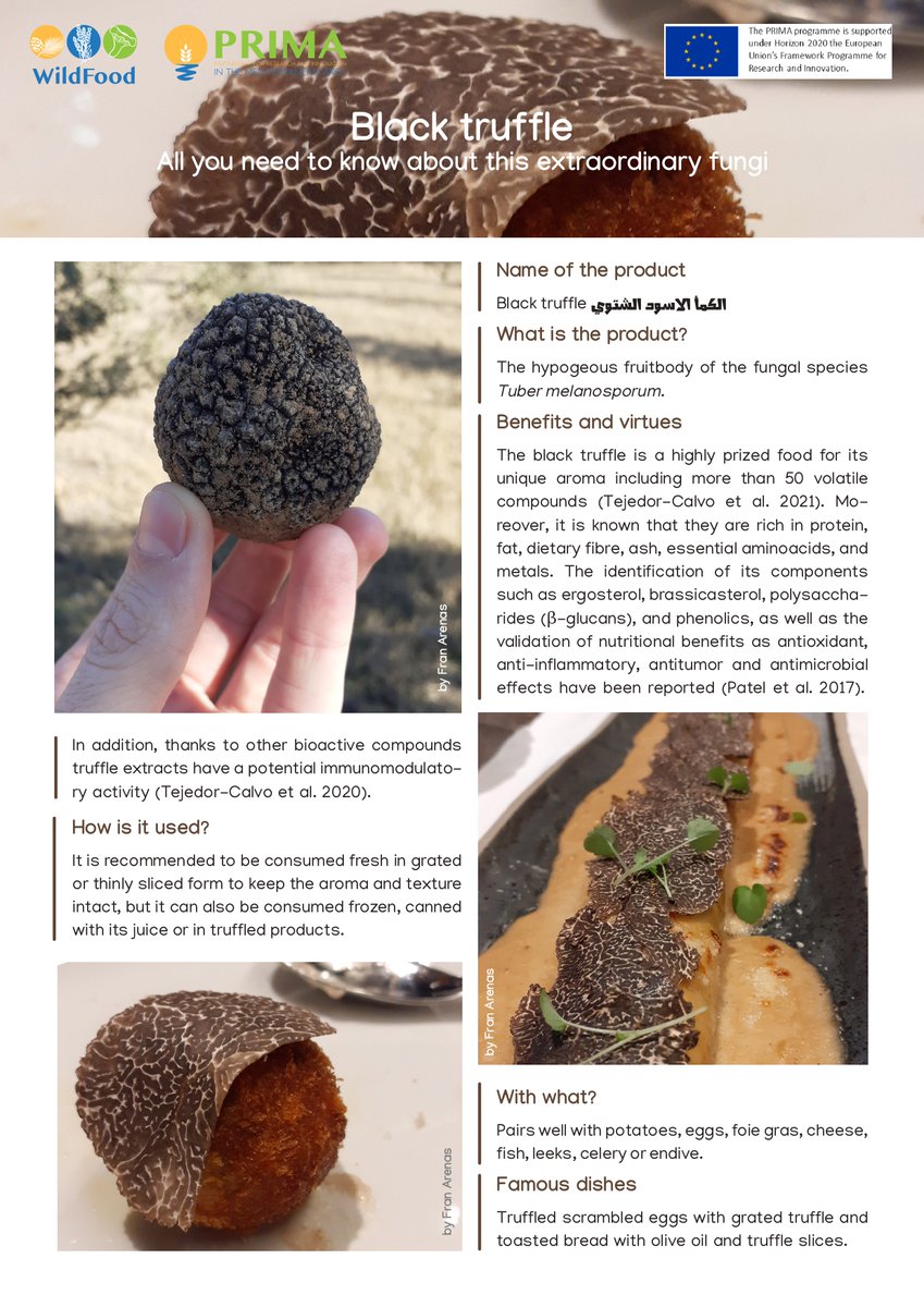 Wildfood PRIMA Project tweet media