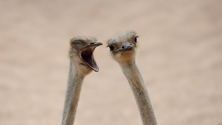 Being an effective leader is as much about listening as it is about making sure your voice is heard. Here are the five conversations you should be having – and how to start them. 

bit.ly/3axpfaM

<a href="/TrainingZone/">TrainingZone</a>