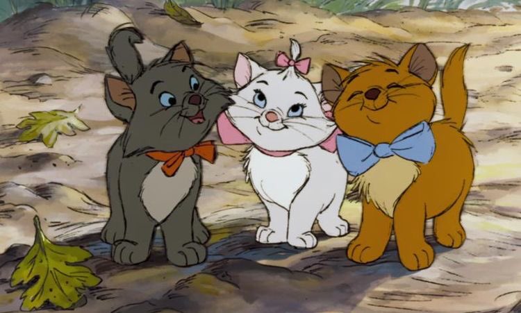 yoontaejin as Marie, Toulouse and Berlioz from The Aristocats