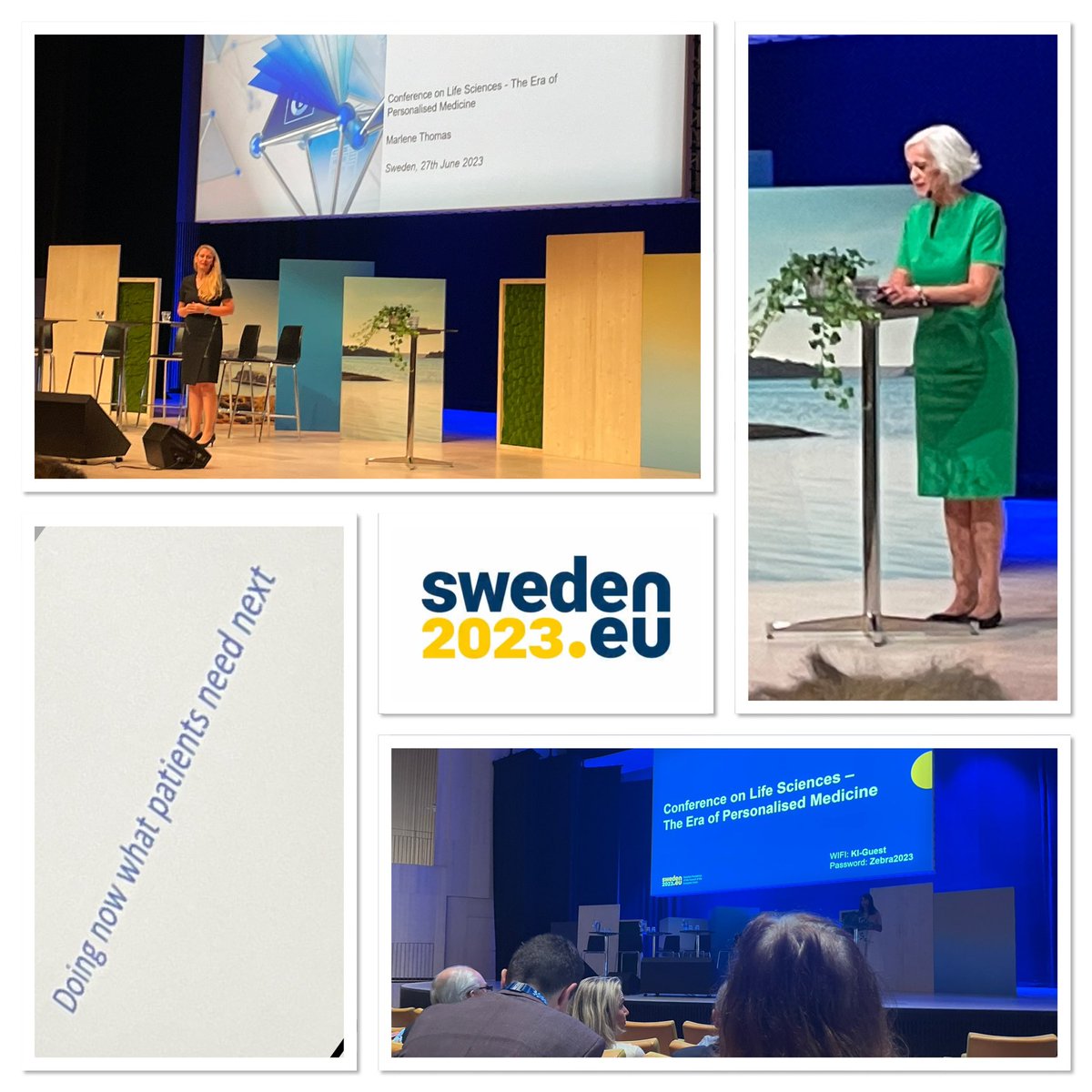 Ron van Schaik (@ronvanschaik) on Twitter photo Started day 2 of the #Sweden2023 conference on “#LifeSciences: the Era of #Personalised #Medicine” at Karolinska Institutet, organised by the Swedish Government. Great contributions by <a href="/AckoAnkarberg/">Acko Ankarberg J</a> and Dr Marlene Thomas.
#Health #EU2023SE
<a href="/jakobforssmed/">Jakob Forssmed</a> <a href="/BuschEbba/">Ebba Busch</a> Started day 2 of the #Sweden2023 conference on “#LifeSciences: the Era of #Personalised #Medicine” at Karolinska Institutet, organised by the Swedish Government. Great contributions by <a href="/AckoAnkarberg/">Acko Ankarberg J</a> and Dr Marlene Thomas.
#Health #EU2023SE
<a href="/jakobforssmed/">Jakob Forssmed</a> <a href="/BuschEbba/">Ebba Busch</a>