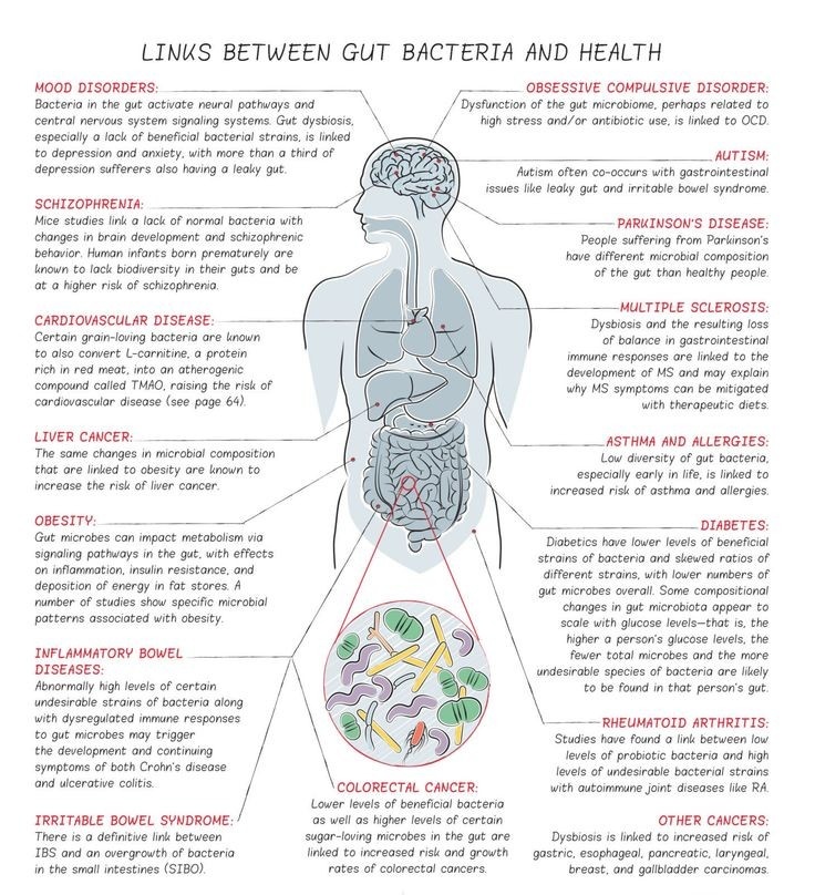 'All Disease begins in the Gut' - Hippocrates

Protect your Gut!

#WorldMicrobiomeDay