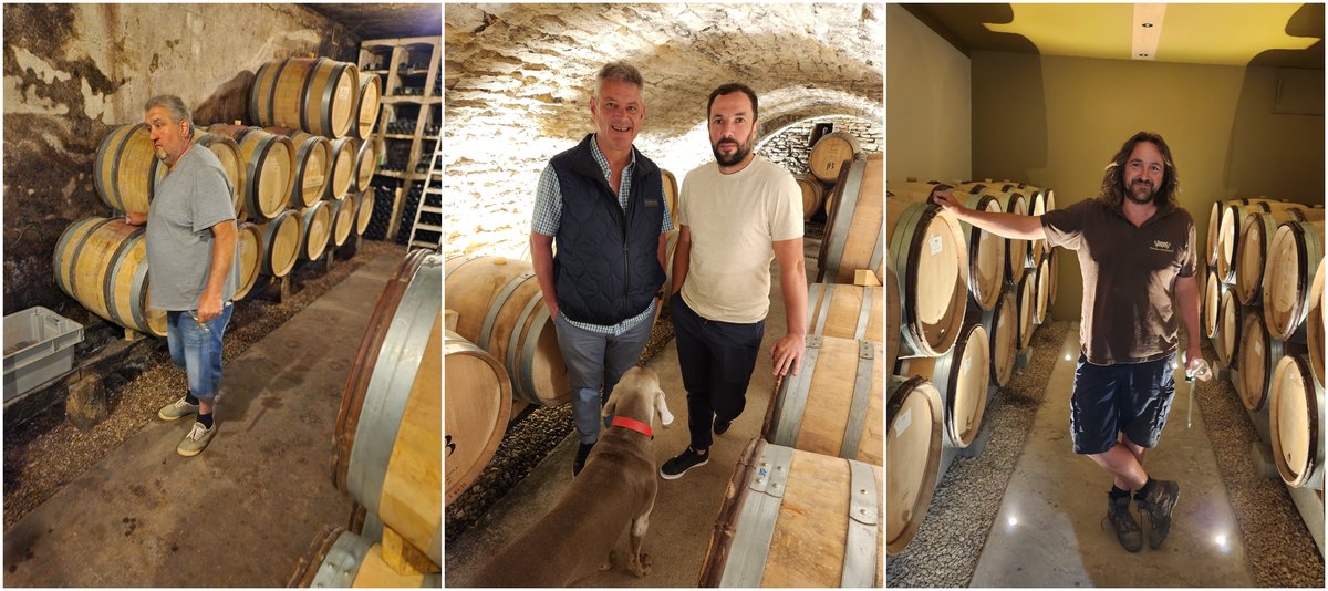 Terroir Sense Wine Review tweet media