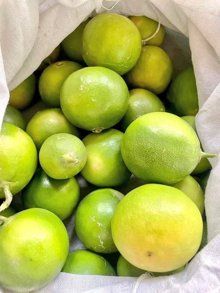 tajagroproducts's tweet photo. ✅Fresh Vegetables from #tajagro #farms 
✅Taj Agro Products provide you an holistic health solutions #protein #vitamins #eggpowder #soyaprotein #wheyprotein #bananapowder #OrganicFarming 
#growyouroenfood https://t.co/sX4Ga2AA2C