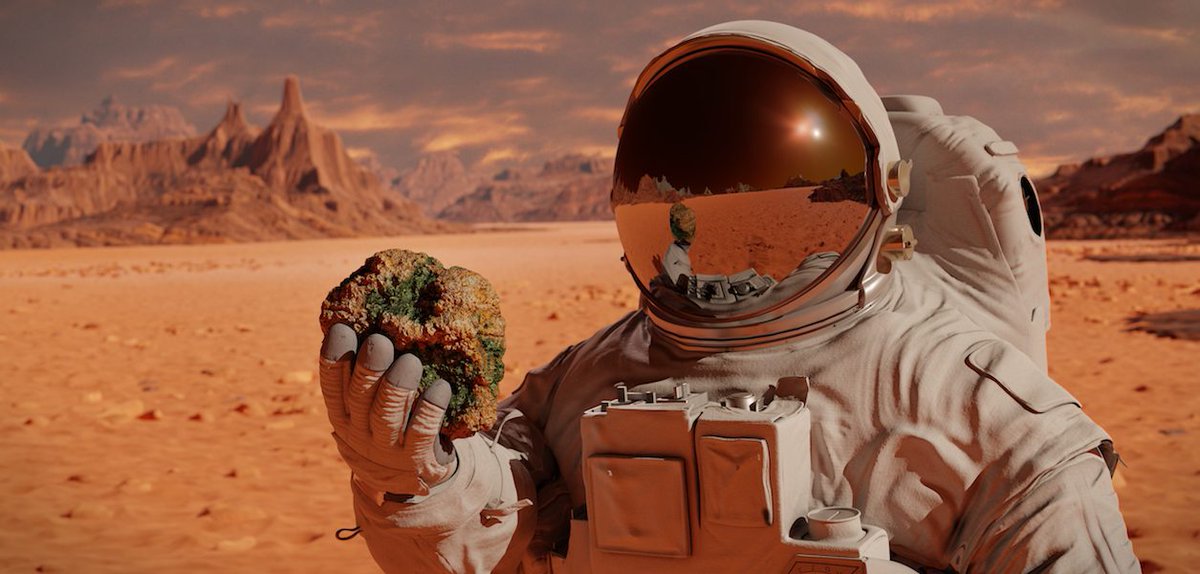 anichidera456's tweet image. @Injective_ is currently conducting experiments using (AI) in the ecosystem. 

Which means the team are working to see how AI can be integrated with ecosystem to improve its effectiveness and functionality 

The results of these experiments may lead to the development of new tool