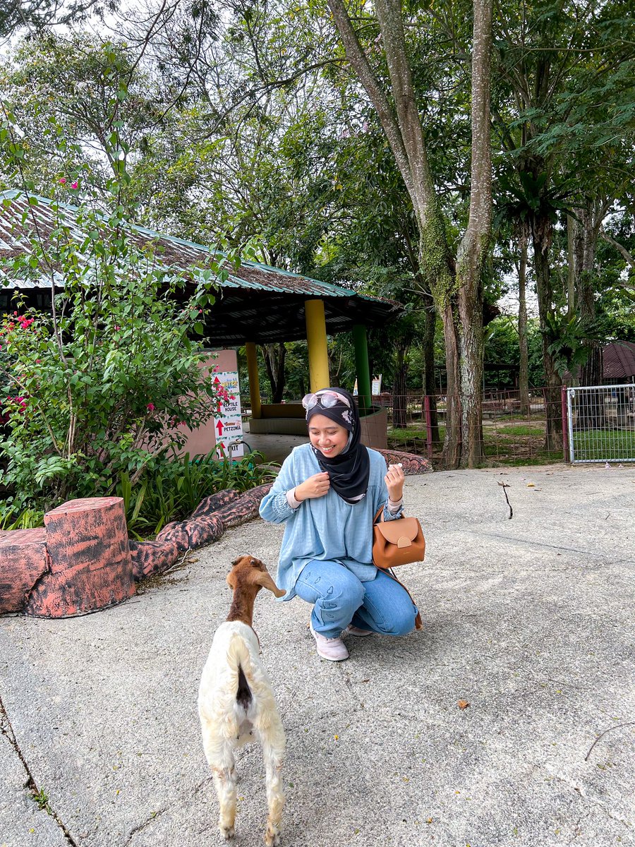 Nurintashaa's tweet photo. Selain zoo negara, pls la pergi safari wonderland juga tau 😆

Boleh main dengan kambing berkeliaran. Jinak gila. I tak kena gigit haha

Paling syok boleh naik truck pastu harimau malaya lalu sebelah truck kita je. Best best!! https://t.co/B0pX2Uc1SR