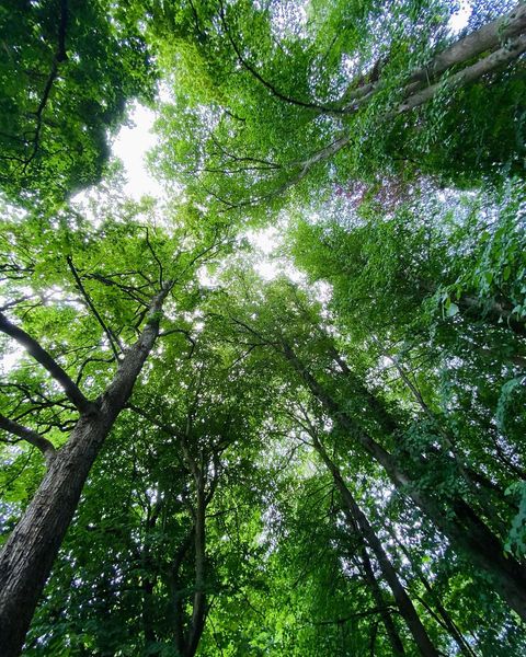 Rydym yn dechrau llun yr wythnos! Daw llun prydferth yr wythnos hon o #ParcBute oddi wrth Lewis Cardinal.

I gyflwyno eich lluniau yn barod ar gyfer wythnos nesaf defnyddiwch #EinParcBute.
#Natur #Ffotograffiaeth