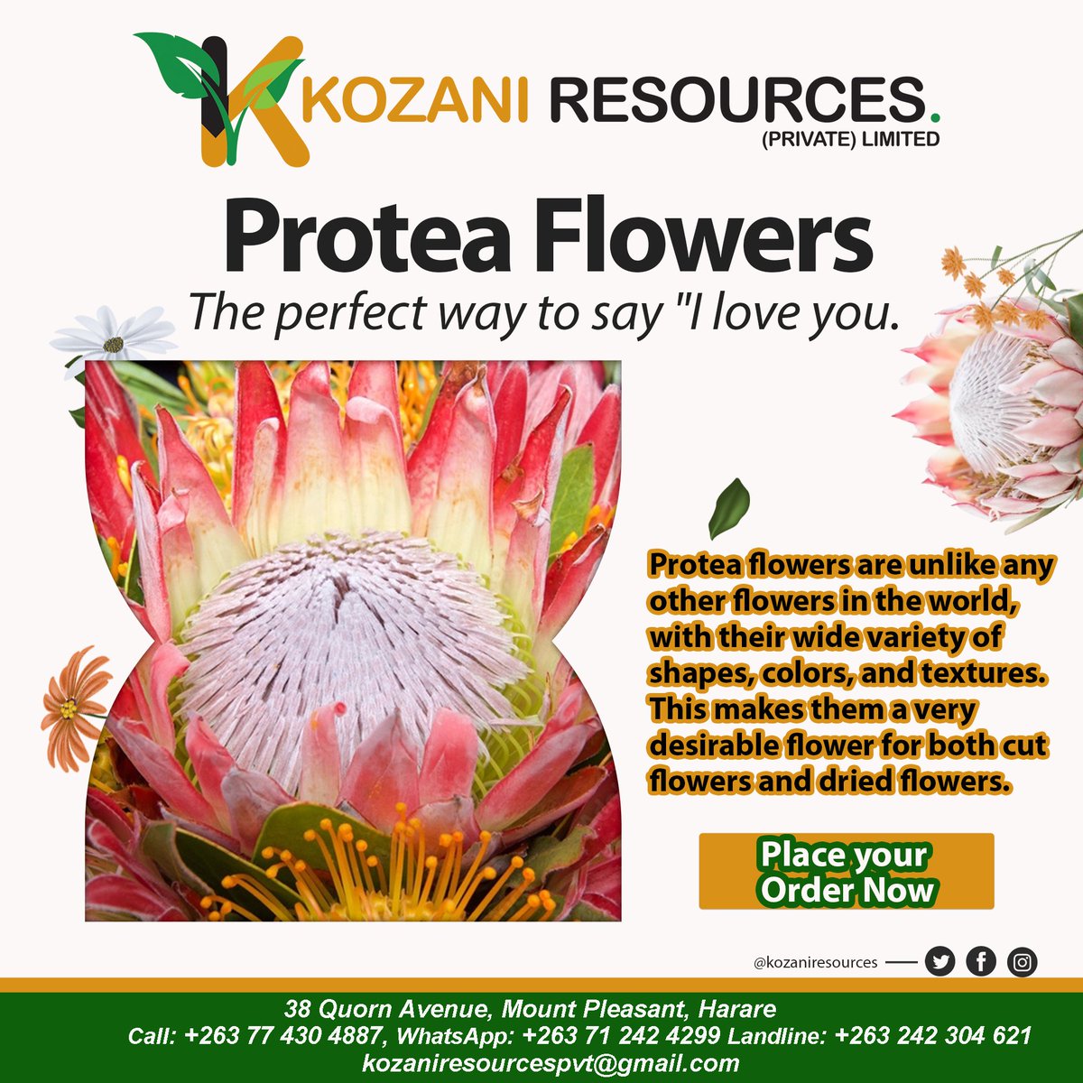 KozaniResources's tweet photo. @TLeoni311 Morning🥰 https://t.co/1ichnF4mOs