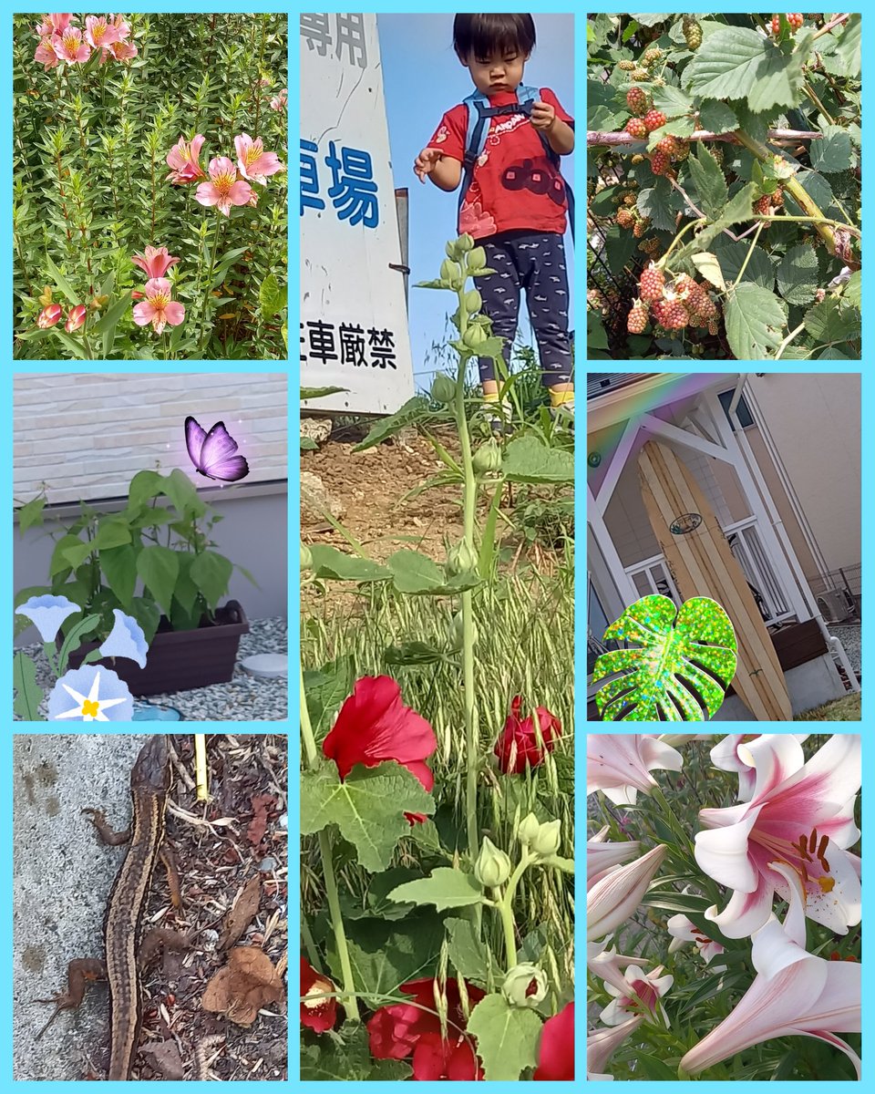 mi_r0_1ove's tweet photo. ( *ˊᗜˋ)ﾉ ᴳᵒᵒᵈ ᴱᘁᵋᐢⁱᐢᵍꔛ𖤐˒˒*

今日も1日オツカレちゃんでした♥

アチィね尋常じゃない汗が… ՞ ՞
エアコンⓔⓣⓒ使って熱中症対策しようね⚠
また明日( *ˊ ꒳ˋ)๗💖๒( ॑꒳ ॑* )ﾅｶﾖｼしてちょ♭
ゆっくりマッタリんこして
過ごしてйё🩷

反抗期マリオ↓
🖤𓏲𑁘おやすみん𓏲੭.˖٭🤍 https://t.co/G4YN8uy1u1