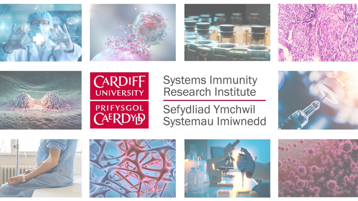 Welcome to the @CUSystemsImmu takeover.
Today we're showcasing all the fantastic research that has taken place across the institute over the last few years.
#immunotherapy #CancerResearch #COVID19 #neuroscience #chronicillness #healthdata