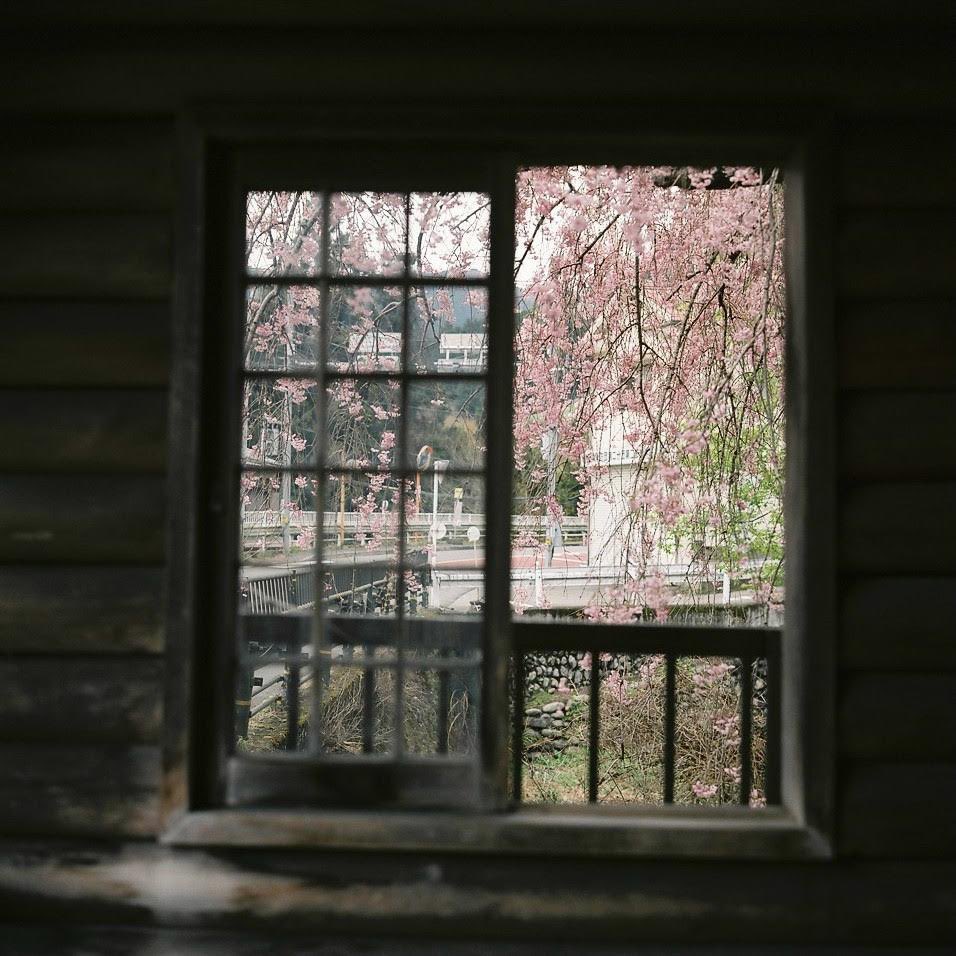 teru8977's tweet photo. この時の🎞️✨（2）

📸Rolleiflex 2.8F Planar 80mm 
🎞PRO400H

#film  #フィルムカメラ　#filmphotography #ニ眼レフ 
#Rolleiflex https://t.co/cXHtpokQI3