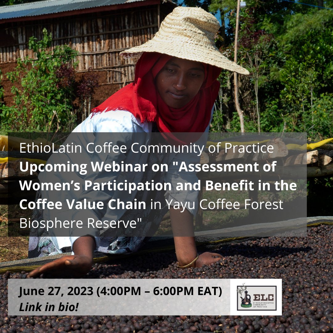 Join us at the upcoming @EthioLatinCoffe webinar on the 'Assessment of Women’s Participation and Benefit in the Coffee #ValueChain in Yayu Coffee Forest Biosphere Reserve''. You can find the link to the webinar in our bio. #Gender #CoffeeIndustry #WomenEmpowerment