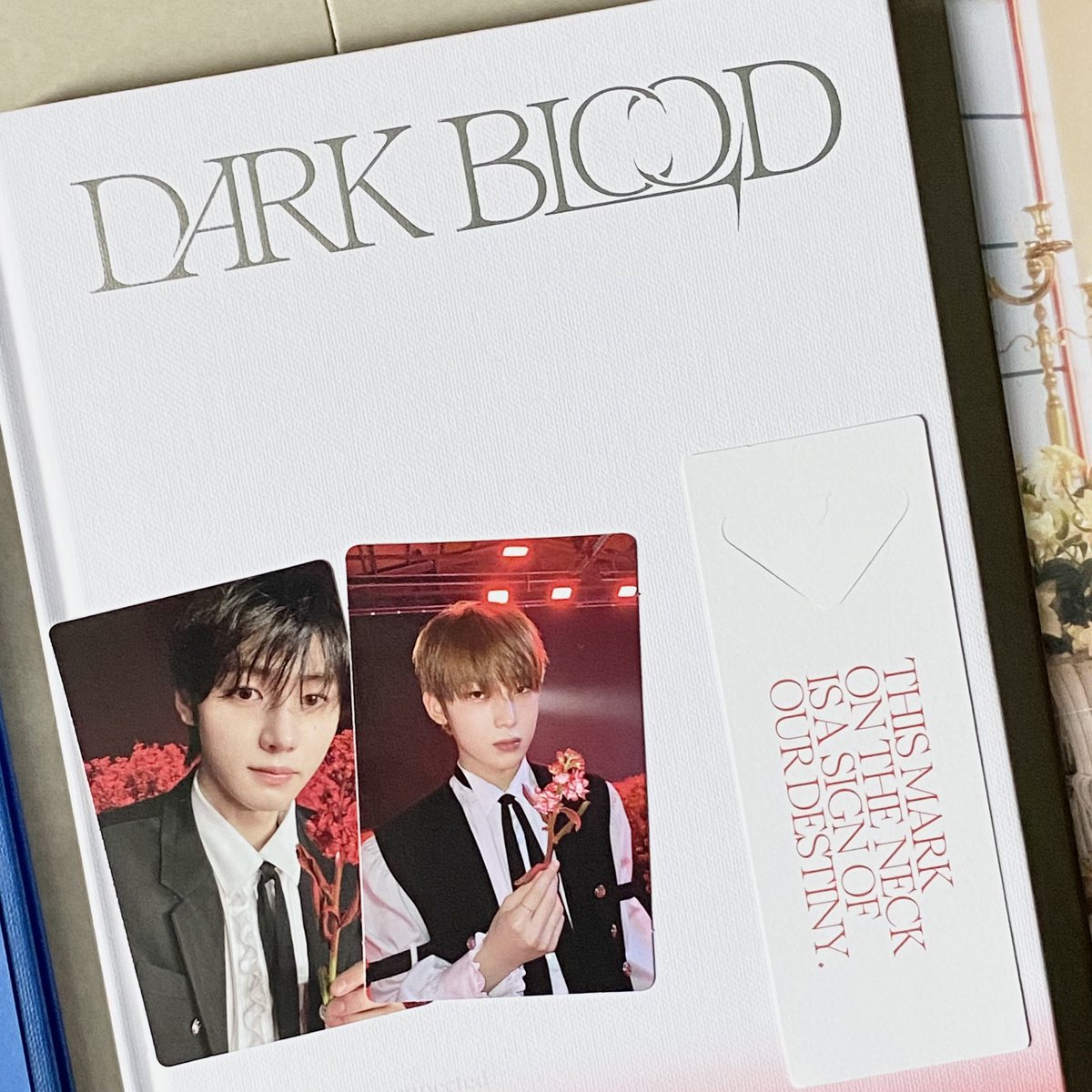 xo_hanabiiiiiii's tweet photo. Sobrang worth it ng pag-iwas ko sa mga twts about sa album inclusions esp sa pcs kasi yoko maspoil hahaha thank you po @sunkits_ hindi ka nagsawa sa pagsagot sa mga tanong ko. can’t wait for my sunoo engene ver. ❤️ #sunkits_feedbacks https://t.co/sO0lUKM5ir