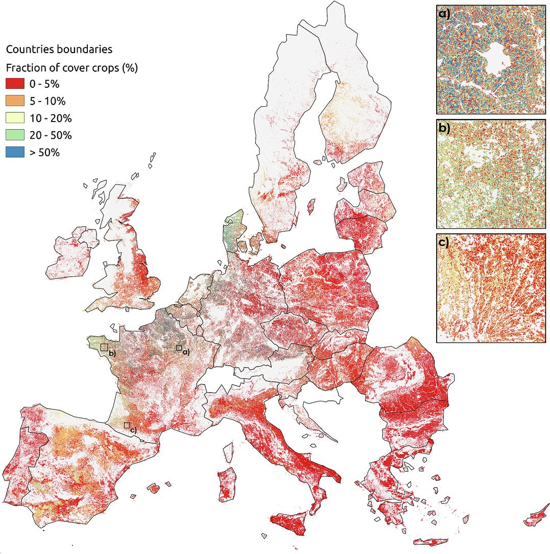 🌱 There are several ways to protect soils and therefore our ecosystems, including working with nature!

Cover crops are plants used to slow erosion, improve soil health & increase biodiversity.

Check out the map of cover crops in 🇪🇺

Source 👉🏽 sciencedirect.com/science/articl…