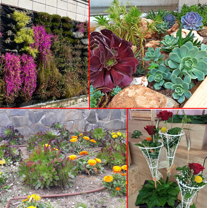 CIFO Santa Coloma (@cifosantacoloma) on Twitter photo Propers cursos àmbit de la jardineria:
- Disseny-control de reg en jardins. Inici Setembre
- Tècniques d'art floral. Inici Octubre
- Xerojardineria: jardineria de climes secs. Inici Novembre
- Jardins Verticals. Inici Novembre
Telf. 934665830 o cifo_santacoloma.soc@gencat.cat Propers cursos àmbit de la jardineria:
- Disseny-control de reg en jardins. Inici Setembre
- Tècniques d'art floral. Inici Octubre
- Xerojardineria: jardineria de climes secs. Inici Novembre
- Jardins Verticals. Inici Novembre
Telf. 934665830 o cifo_santacoloma.soc@gencat.cat