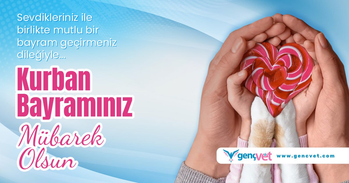 Sevdiklerinizle birlikte olacağınız mutlu, huzurlu bir bayram dileriz
.
#kurbanbayramı #iyibayramlar