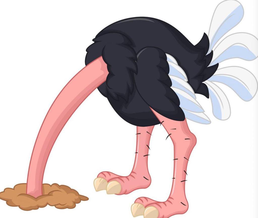 Marcel Halma 🌎 tweet media