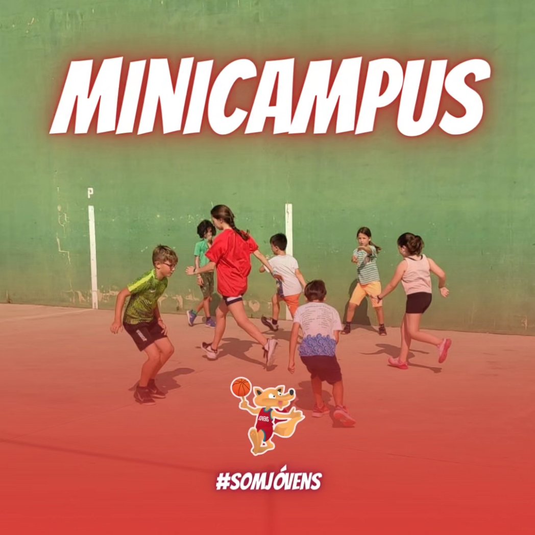 🏝️ ESTIU RABOSA 😎

🌊 Ja han començat les nostres activitats d'estiu. 

🏀🤸🏻‍♀️ Tant el tradicional #MiniCampus com el #Tecnificat acaben les seues jornades remullats en la piscina .

✍🏻 Vols apuntar-te? Contacta'ns per missatge directe i et guiarem amb la inscripció.

#SomJóvens