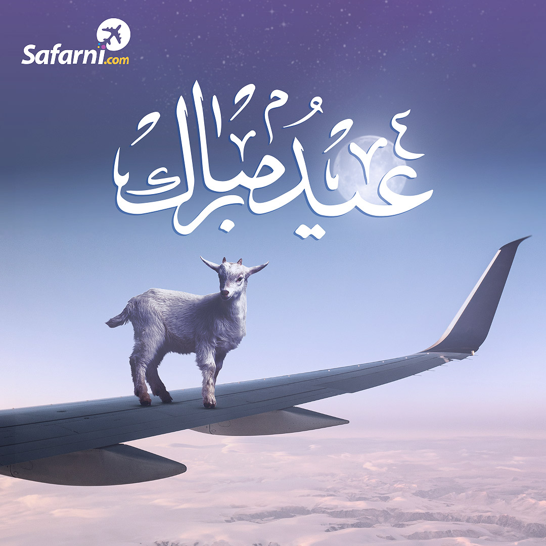 Safarni.com ✈️✈️ tweet media