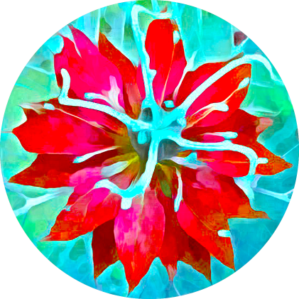 aprilstormverse's tweet photo. Fancy showing up in red?
#nft #eth #mintable #printable #round #pfp #avatar #bloomverse #colourshifter https://t.co/ChvVob5zlU