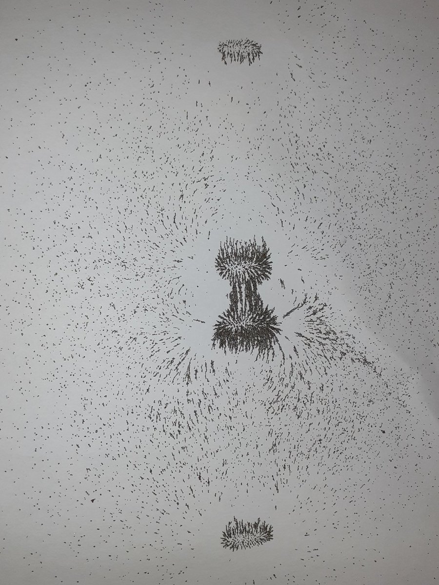 TorlandsA's tweet image. May the force be with you 💫 

Our Merrivale students got involved in our forces topic last week &amp;amp; explored magnetic forces at work! #magneticforces #science #learningisfun