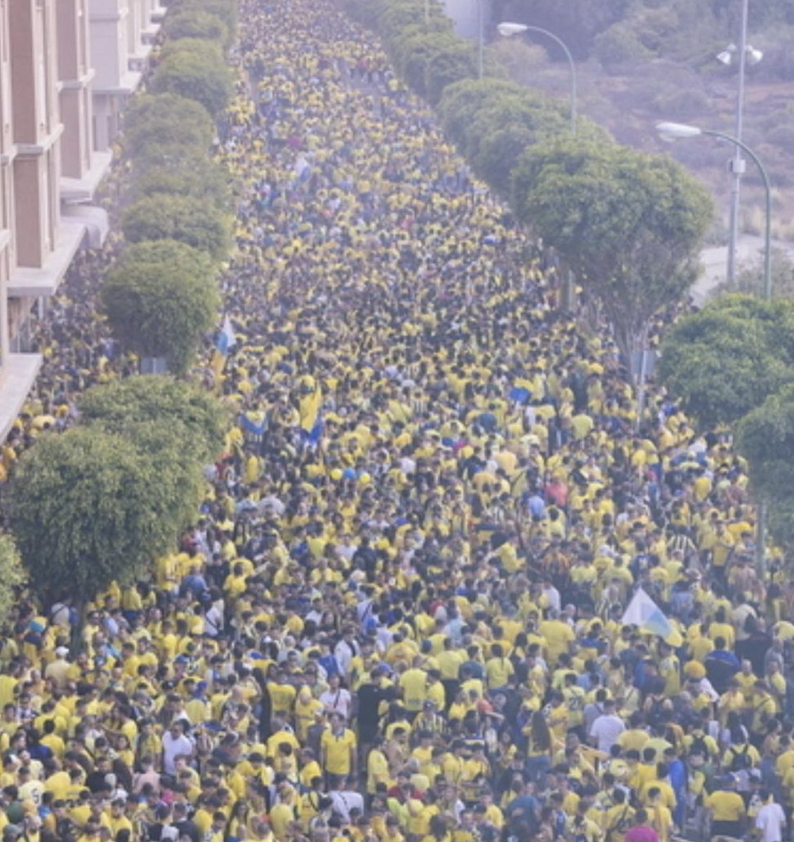 ElNuevoInsular's tweet photo. 🥹💛 HACE UN MES 🥹💙 https://t.co/VFrT8HKE91