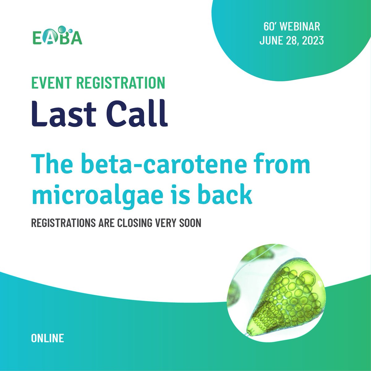 💡 Webinar « The beta-carotene from microalgae is back »: LAST CALL 🙂 ✏️ Register at: algaeworkshops.org/the-beta-carot… 🙃 #algae #microalgae #seaweed #biomass #marinebiology #research, #innovation #science #carotenoid #pigment #betacarotene #madebyalgae #madeinocean