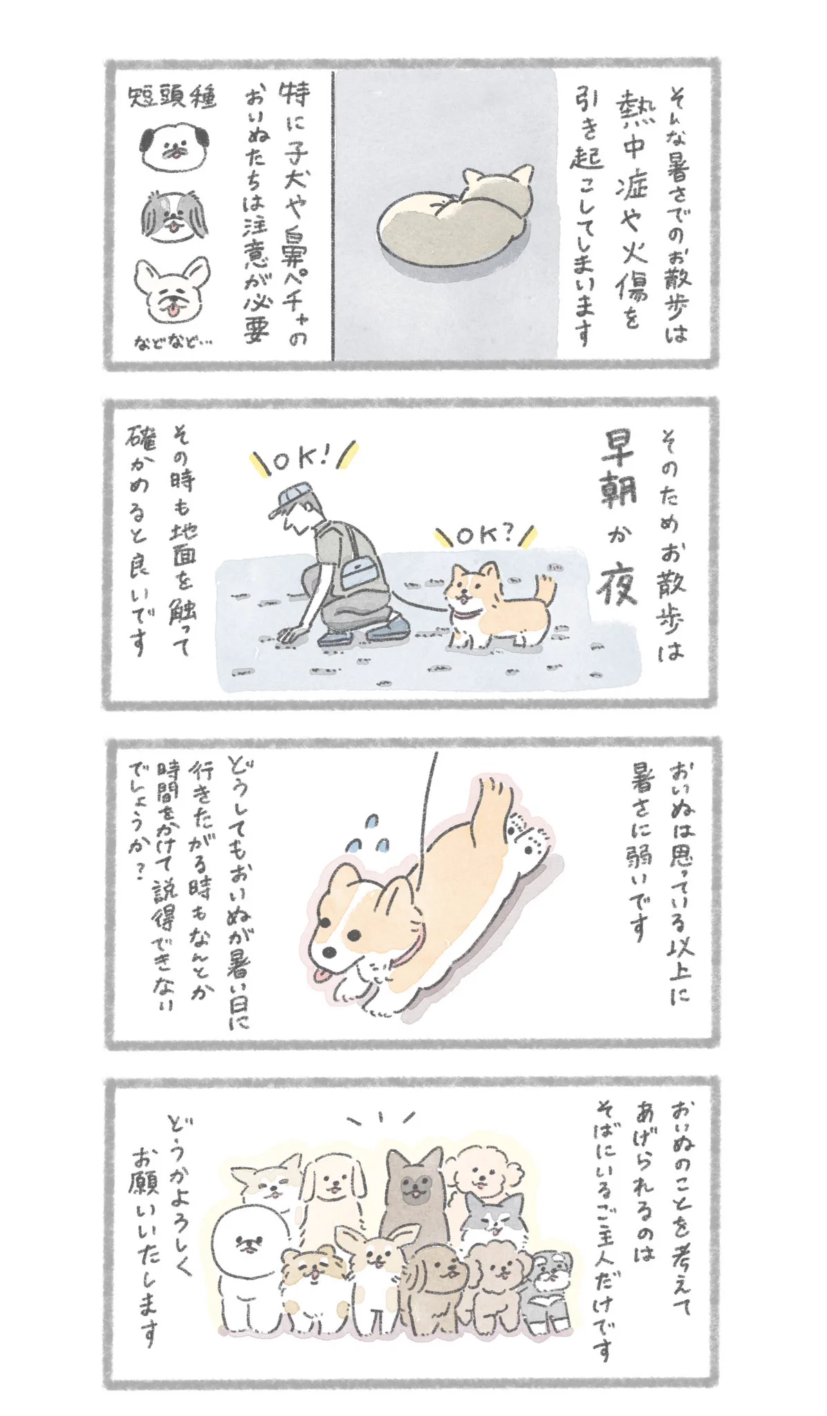 炎天下でのおいぬのお散歩について。人類の宝物「肉球」を守らねばならない…