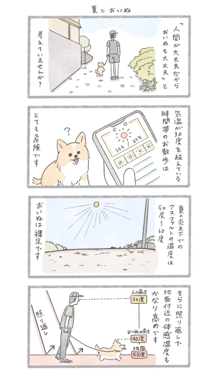 炎天下でのおいぬのお散歩について。人類の宝物「肉球」を守らねばならない…