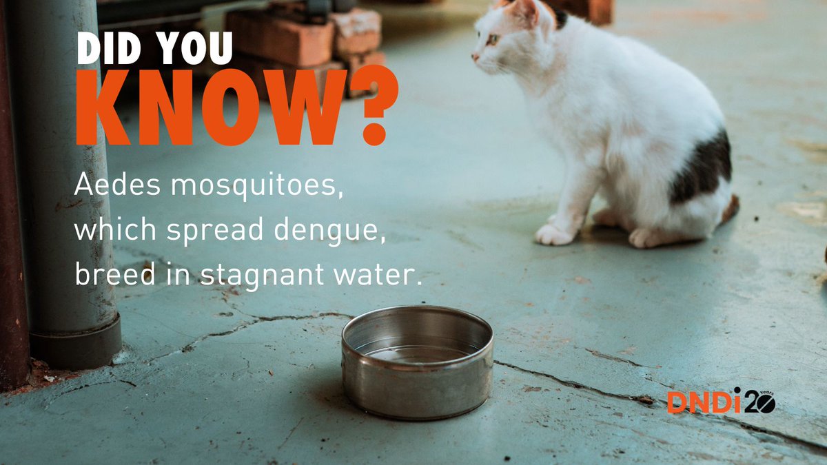 The monsoon is here, and so is dengue. Protect yourself by clearing out water from all household containers.

#dengue #BeatNTDs #HealthForAll 

Read more: dndi.org/diseases/dengu…
