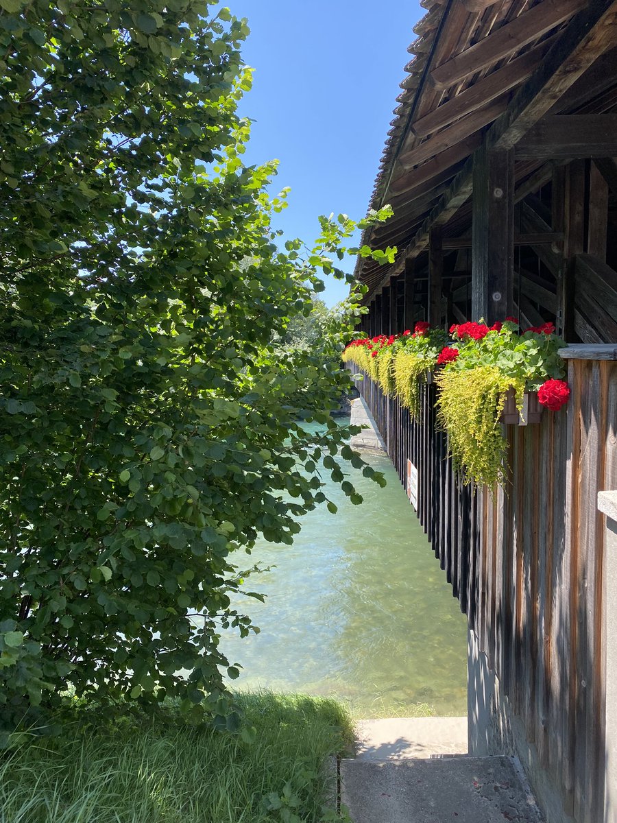 ᒍᑌᒪEᔕ Wachner 🖋 tweet media