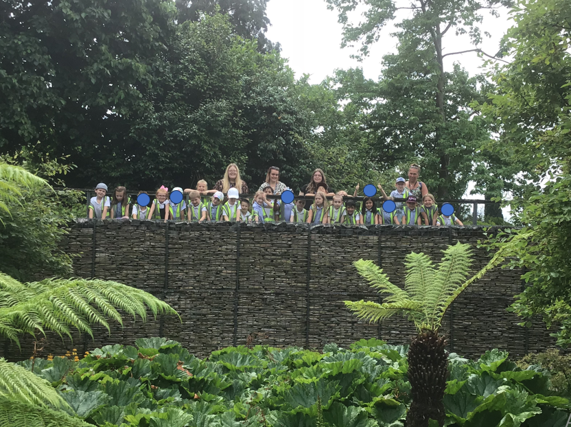 Y1Somers's tweet photo. Here is 1HB after enjoying a morning of book mark marking and bird nest building at Hyde Hall 🦋 https://t.co/WtSy9SJt7L