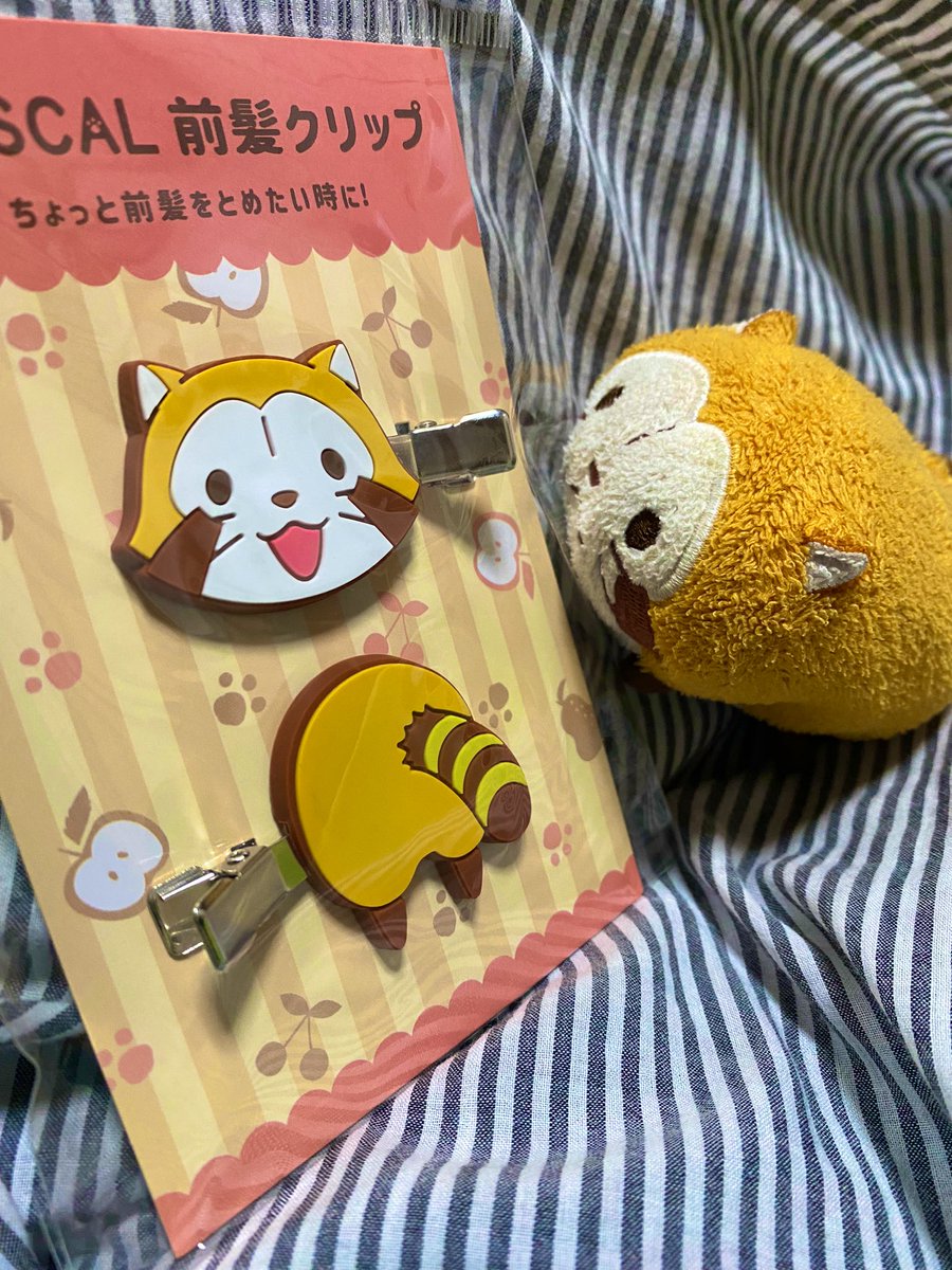 Rascal2011M's tweet image. 先日やっと手に入れた！
…ぬいぐるみの方。顔の色が…遊んでばかりいないで洗わなきゃ😂お風呂入りますよー！🤣
#ラスカル #前髪クリップ