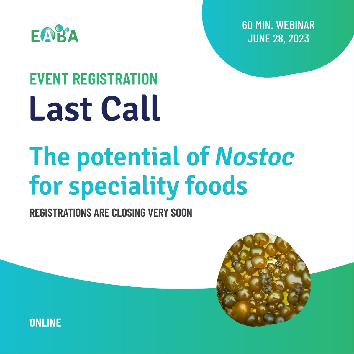 💡 Webinar « The potential of Nostoc for specialty foods »: LAST CALL 😀 🗓 Tomorrow June, 28 (afternoon)  ✏️ Register at: algaeworkshops.org/algae-workshop… #algae #microalgae #seaweed #biomass #marinebiology #research, #innovation #science #nostoc #foods #food #madebyalgae #madeinocean