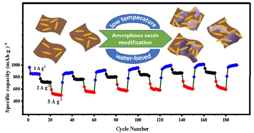 IndiaDST's tweet photo. Researchers @CeNS_Bangalore develop a high-performance #anode for next-generation lithium-ion #batteries.

@DrJitendraSingh @srivaric 
🔗https://t.co/lBupQB8juc https://t.co/f44xQMQMms