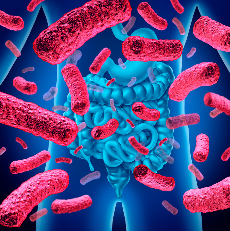 Día Mundial de la #microbiota  intestinal!🦠
Sabias que el envejecimiento se asocia con la disminución de la diversidad microbiana y la reducción de la diversidad se correlaciona con el estado nutricional, el aumento de la inflamación y la fragilidad?

ncbi.nlm.nih.gov/pmc/articles/P….